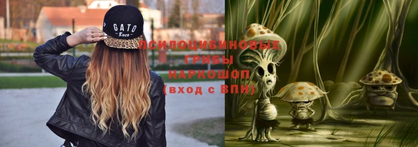 дурь Новозыбков