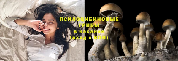 героин Новодвинск