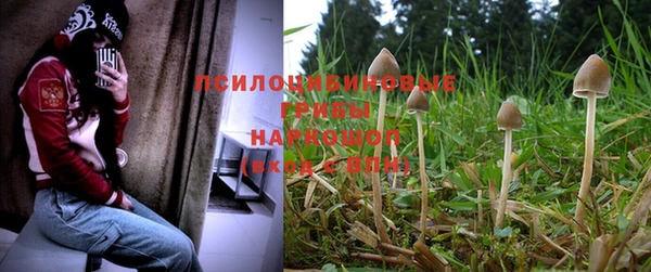 героин Новодвинск
