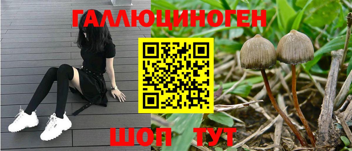 Каннабис  Вход с VPN  Сертолово  A PVP СОЛЬ   АМФ   Cocaine  Гашиш  Меф МЯУ МЯУ кристаллы 